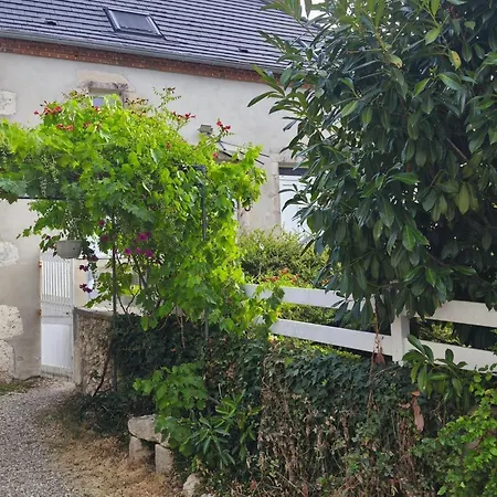 Ferme Bourbonnaise Rénovée Avec Jardin, Animaux Admis - Fr-1-489-295 Bransat